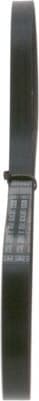 V-ribbed Belt 1987947805 - image 6