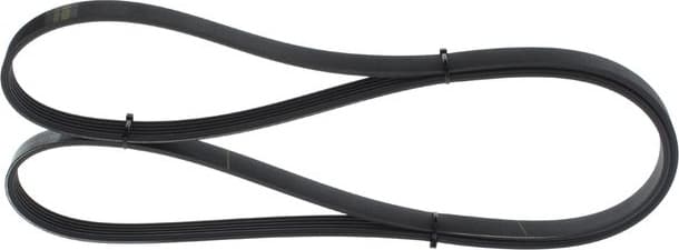 V-ribbed Belt 1987946239 - image 7