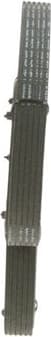 V-ribbed Belt 1987946208 - image 12