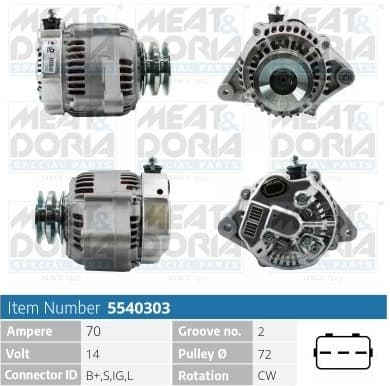 Alternator 5540303