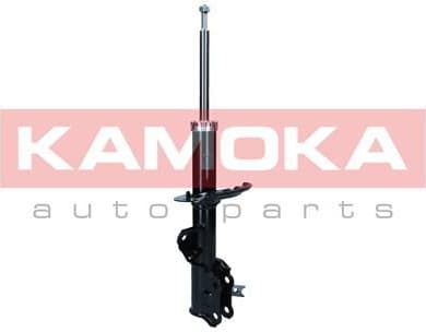 Shock Absorber 2001098