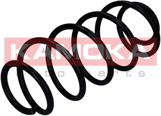 Suspension Spring 2110867