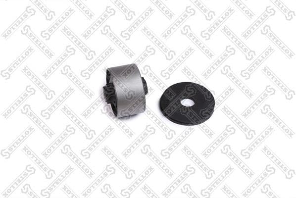 Mounting, differential 77-02066-SX