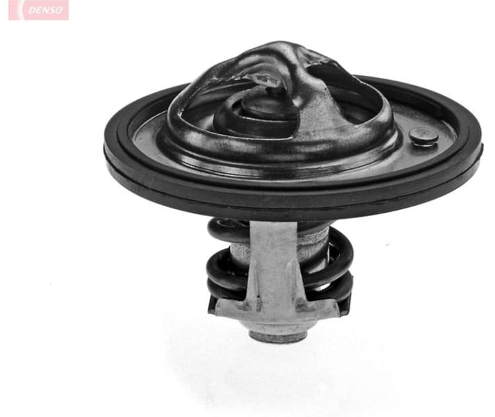 Thermostat, coolant DTM82513