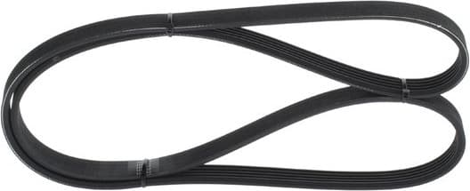 V-ribbed Belt 1987946235 - image 5