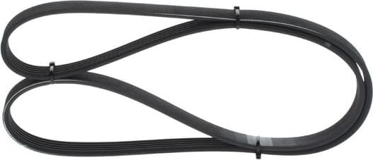 V-ribbed Belt 1987946235 - image 7