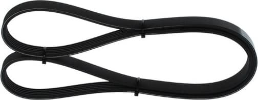V-ribbed Belt 1987948348 - image 7