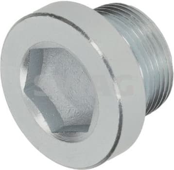 Screw Plug, automatic transmission casing 33 10 8297