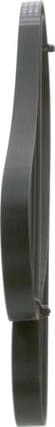 V-ribbed Belt 1987947959 - image 6