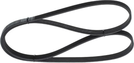 V-ribbed Belt 1987946001 - image 5