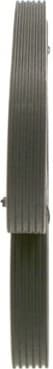V-ribbed Belt 1987946211 - image 6