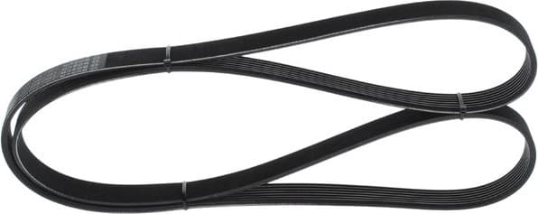 V-ribbed Belt 1987946091 - image 5