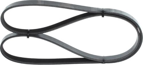 V-ribbed Belt 1987948389 - image 7