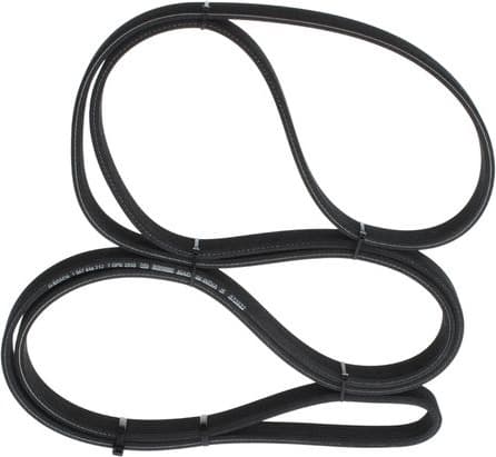 V-ribbed Belt 1987946212 - image 6