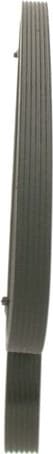 V-ribbed Belt 1987946271 - image 6