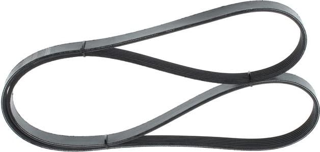 V-ribbed Belt 1987946029 - image 6