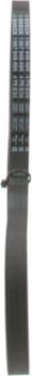 V-ribbed Belt 1987948404 - image 6