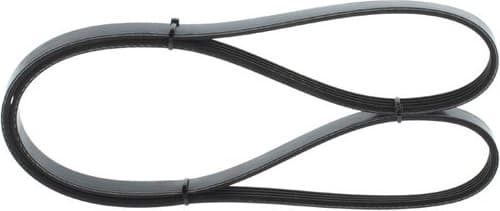 V-ribbed Belt 1987946003 - image 5