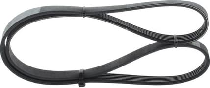 V-ribbed Belt 1987946069 - image 5