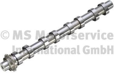 Camshaft 50056001