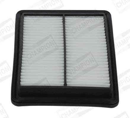 Air Filter CAF101264P