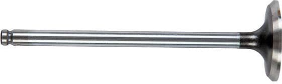 Intake Valve 01-24401-SX