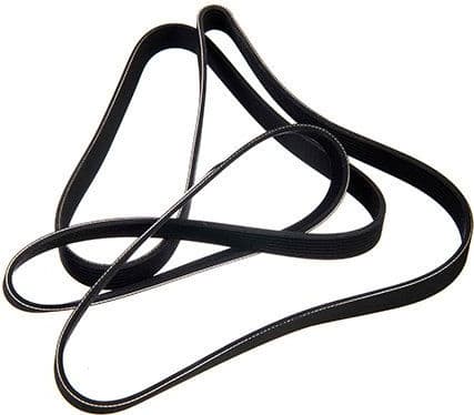 V-ribbed Belt 07-02418-SX