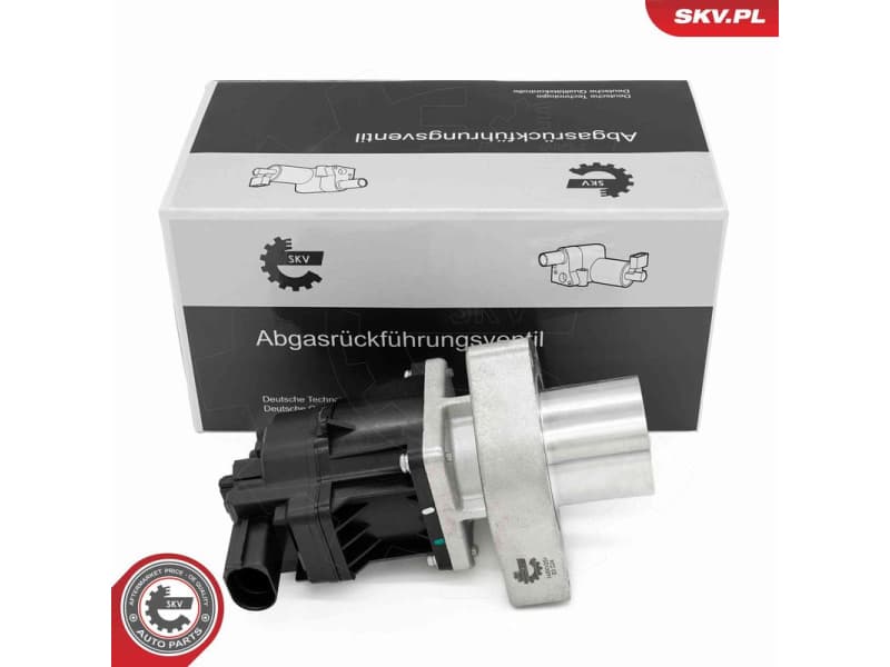 EGR Valve 14SKV254