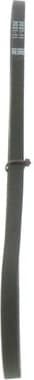 V-ribbed Belt 1987946065 - image 8