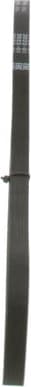 V-ribbed Belt 1987947901 - image 6