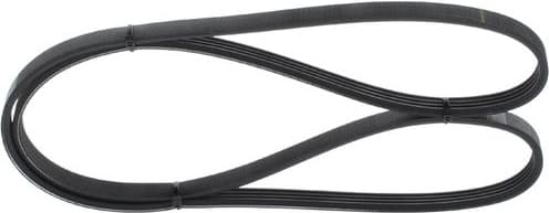 V-ribbed Belt 1987946007 - image 5