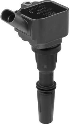 ZS596 (BorgWarner (BERU))