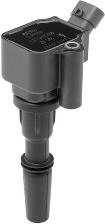 ZS596 (BorgWarner (BERU)) - image 2