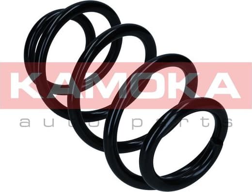 Suspension Spring 2110536