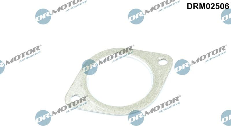 Gasket, exhaust pipe DRM02506