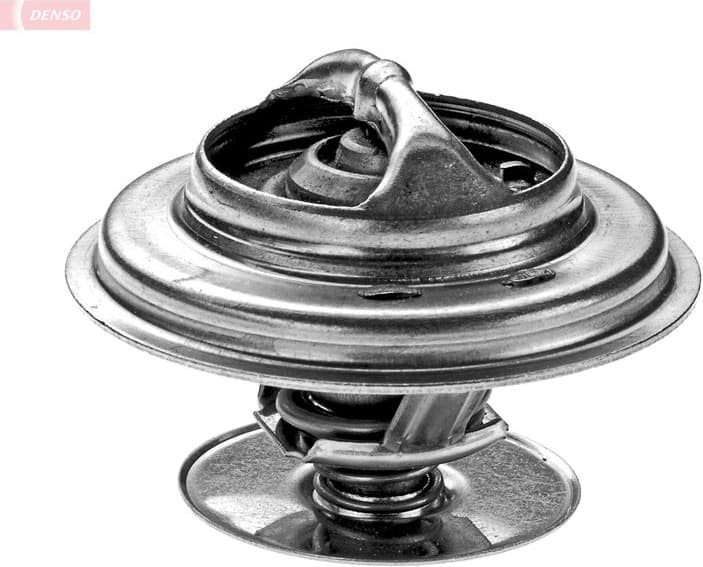 Thermostat, coolant DTM79248