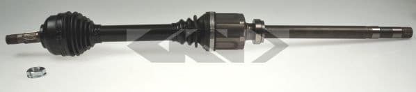 Drive shaft complete 304643