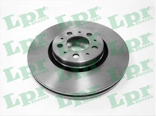 Brake discs kit front (2pcs) V1001V - image 2
