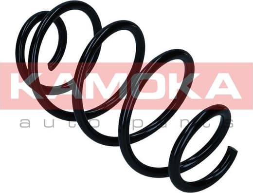 Suspension Spring 2110509 - image 4