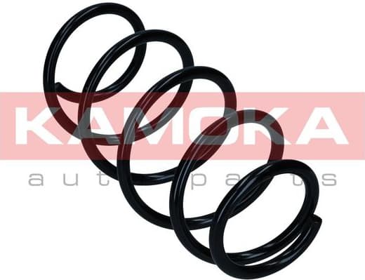 Suspension Spring 2110802