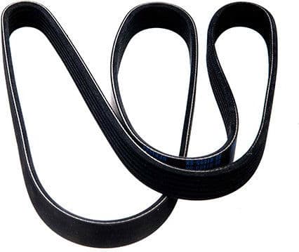 V-ribbed Belt 06-01495-SX