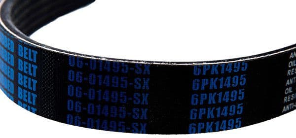 V-ribbed Belt 06-01495-SX - image 3