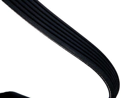 V-ribbed Belt 06-01495-SX - image 4