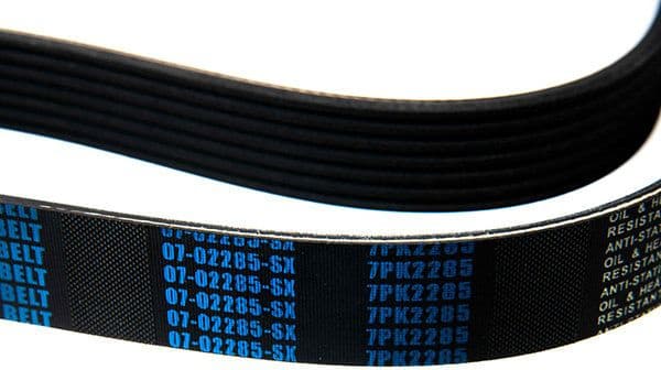 V-ribbed Belt 07-02285-SX - image 3