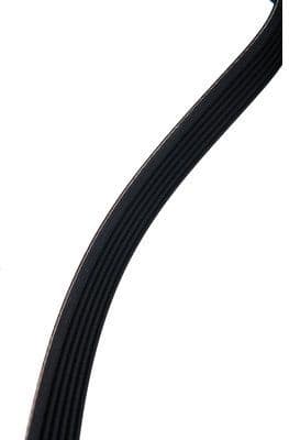 V-ribbed Belt 06-02137-SX - image 3