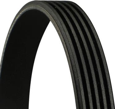 V-ribbed Belt 5PK1697