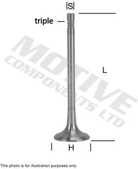 Intake Valve IV9179