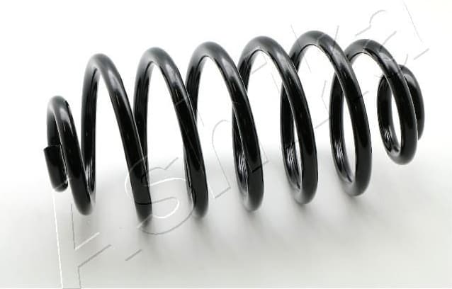 Suspension Spring ZCA6979X