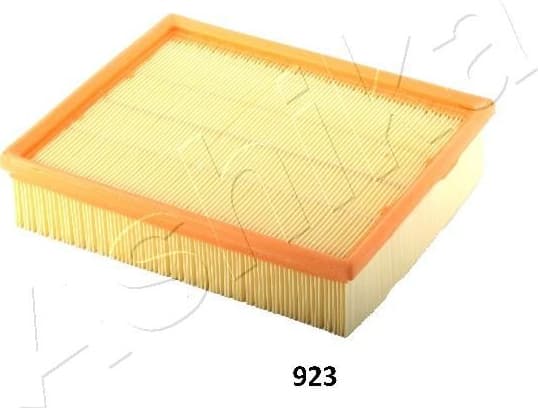 Air Filter 20-09-923