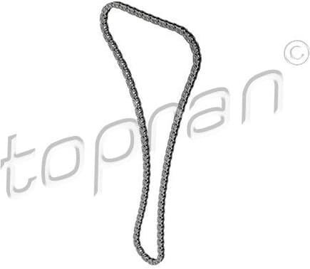 Timing Chain 503 184